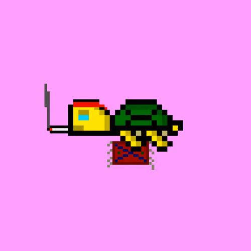 Dao Turtles