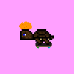 DAO Turtle #4058