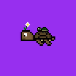 DAO Turtle #3564