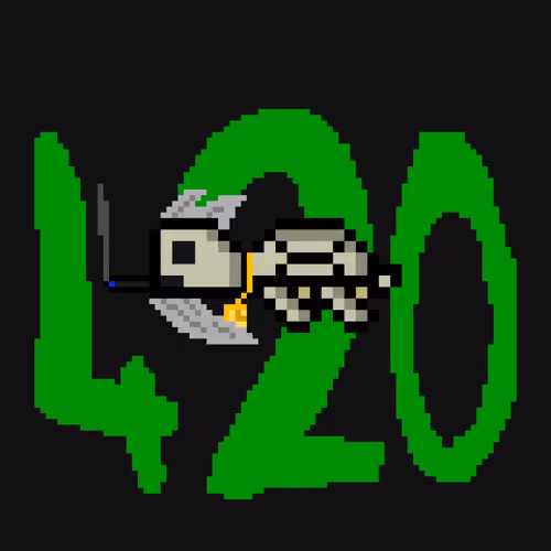 DAO Turtle #2264