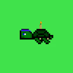 DAO Turtle #8501