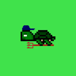 DAO Turtle #2735