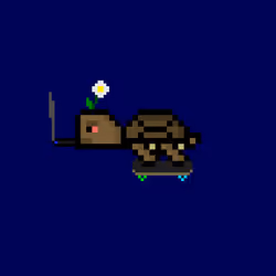 DAO Turtle #2387
