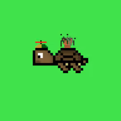 DAO Turtle #2596