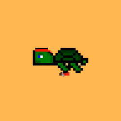 DAO Turtle #2342