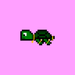 DAO Turtle #7755