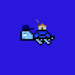 DAO Turtle #9344