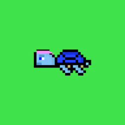 DAO Turtle #530