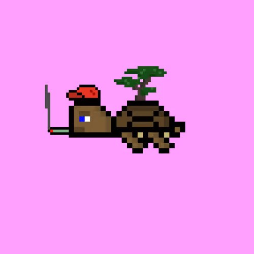 DAO Turtle #2023