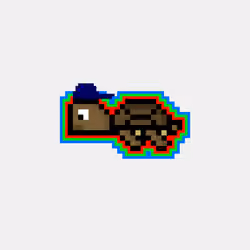 DAO Turtle #8916