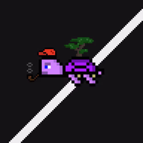 Dao Turtles