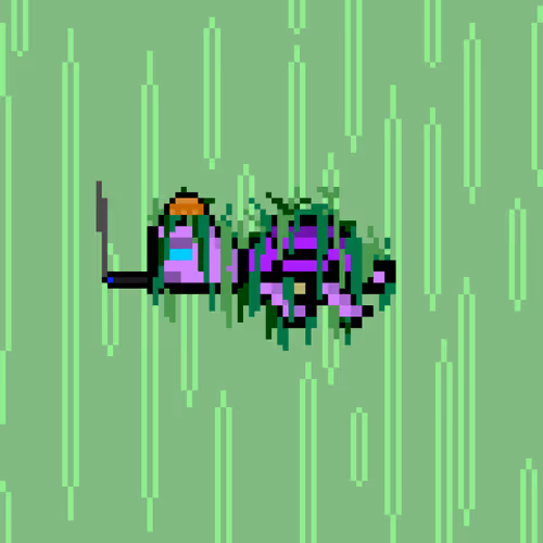 Dao Turtles