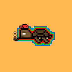 DAO Turtle #9579