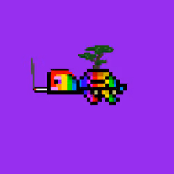 DAO Turtle #9778