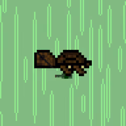 DAO Turtle #2361