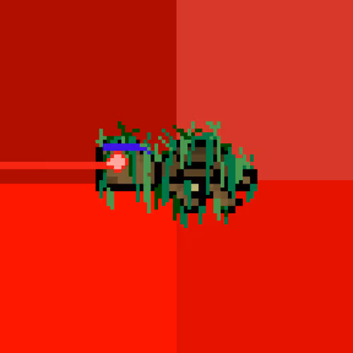 Dao Turtles
