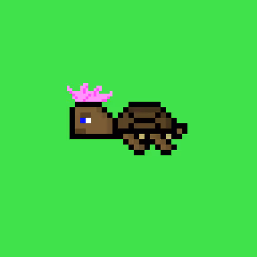 Dao Turtles