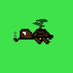DAO Turtle #7455