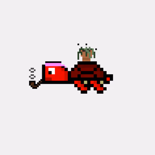 DAO Turtle #1991