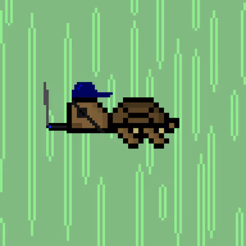 DAO Turtle #9855