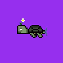 DAO Turtle #2482