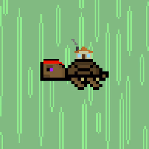Dao Turtles