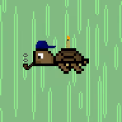 DAO Turtle #9781