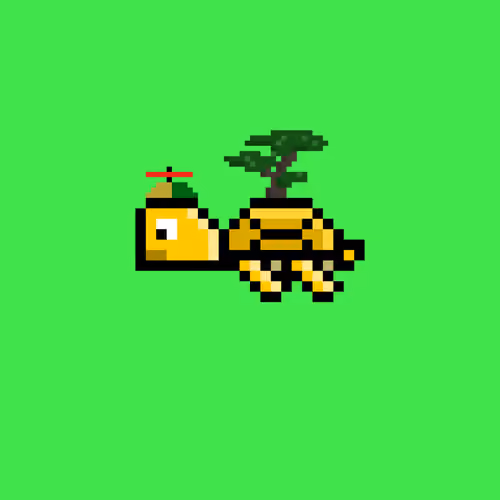 DAO Turtle #2136