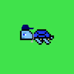 DAO Turtle #5420