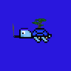 DAO Turtle #9539
