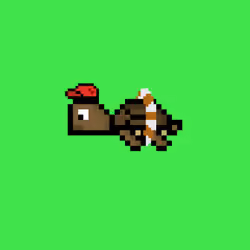 DAO Turtle #6502
