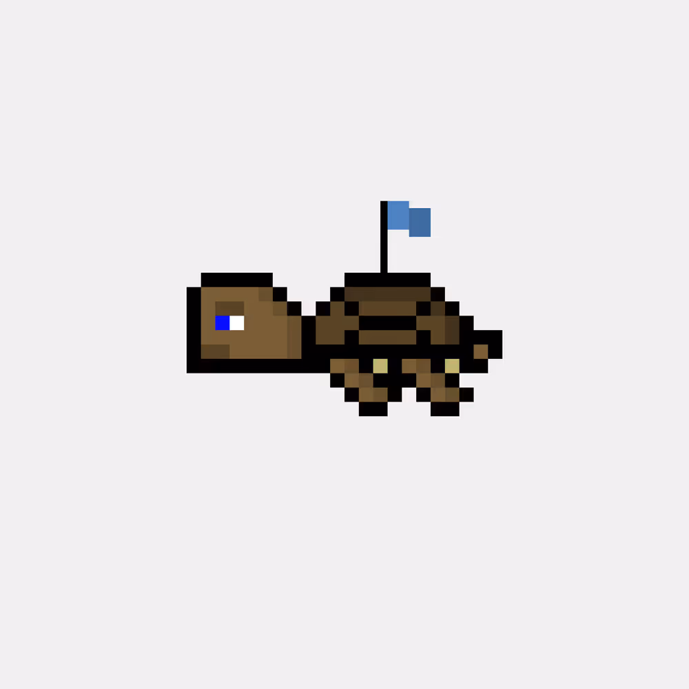 DAO Turtle #9858
