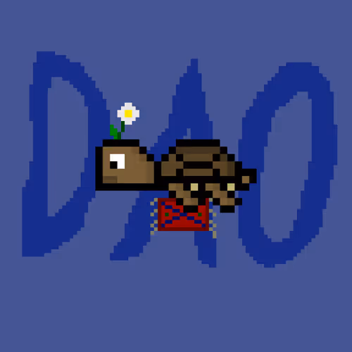Dao Turtles