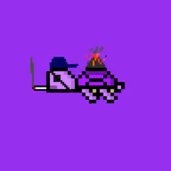 DAO Turtle #1234