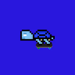 DAO Turtle #1328