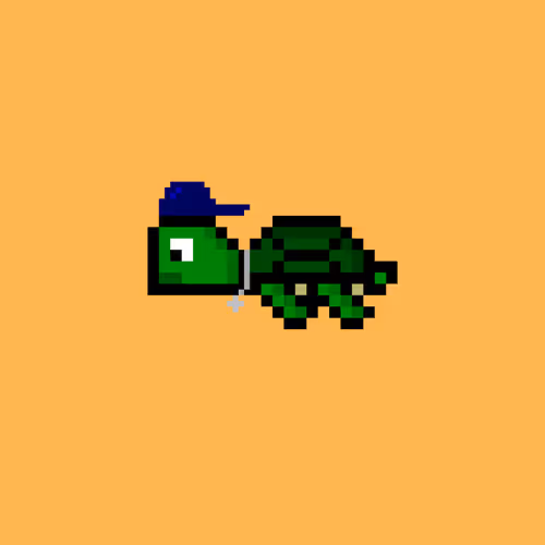 Dao Turtles