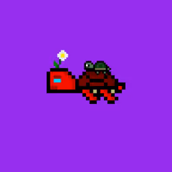 DAO Turtle #6854