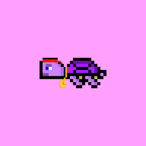 Dao Turtles