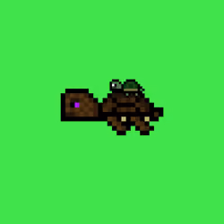DAO Turtle #6527