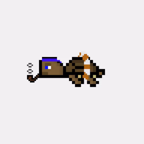 DAO Turtle #5781
