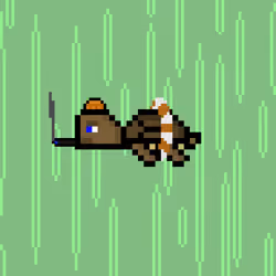 DAO Turtle #6487