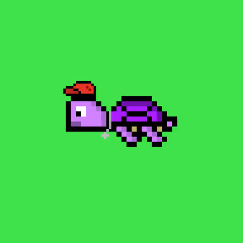 Dao Turtles