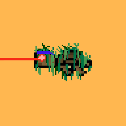 Dao Turtles