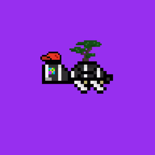 DAO Turtle #2784