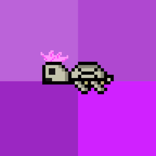 Dao Turtles