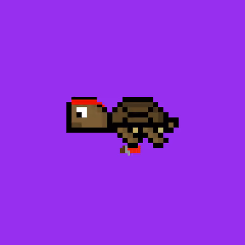 DAO Turtle #1423
