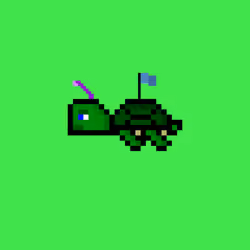 DAO Turtle #2190