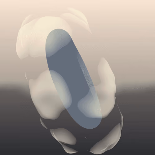 Toroid 50