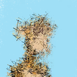 Pollock's Bored Apes #4155