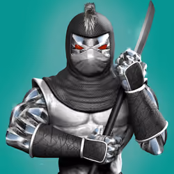 Ancient Ninja #3163